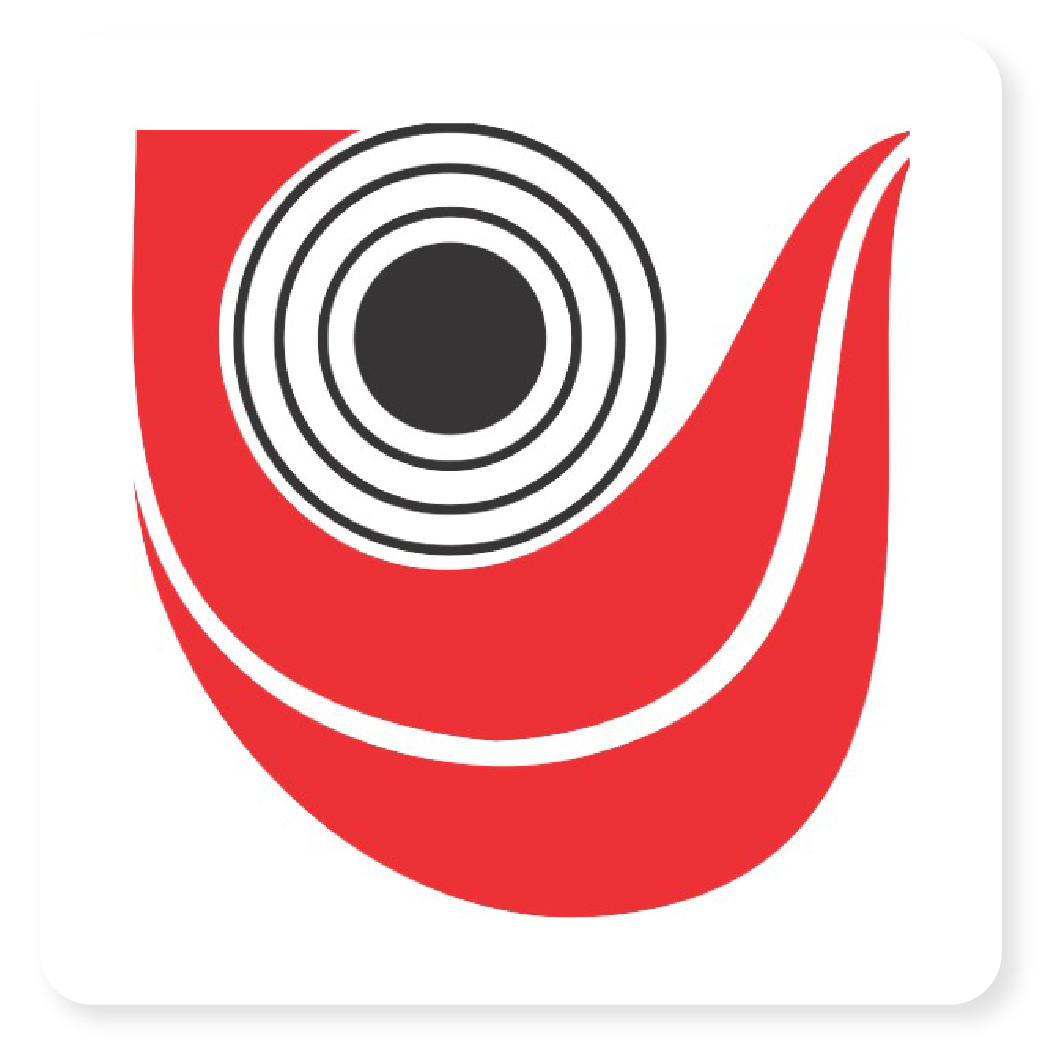 Logo LVS