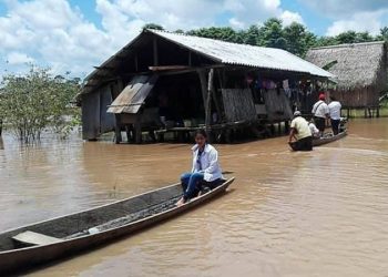 Emergencia en Loreto: Varias provincias se muestran afectadas por la creciente del río Amazonas