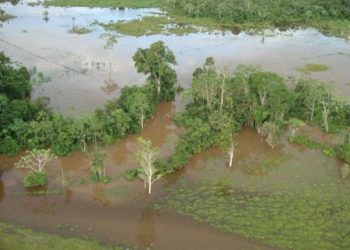Autoridades comunales reportan pérdida de cultivos y aumento de enfermedades por lluvias en Requena