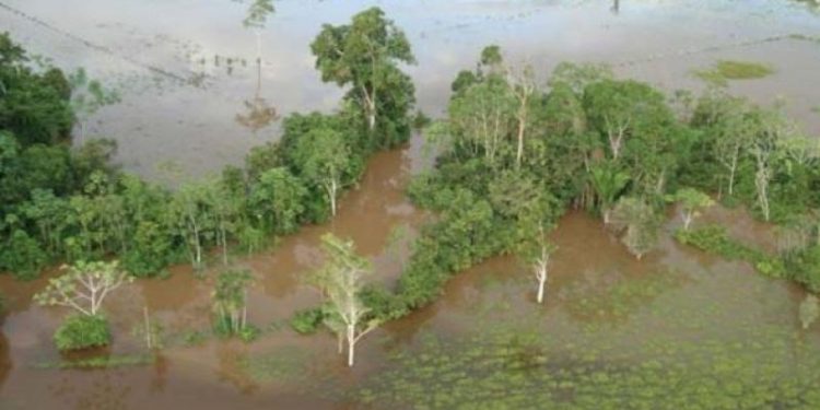 Autoridades comunales reportan pérdida de cultivos y aumento de enfermedades por lluvias en Requena