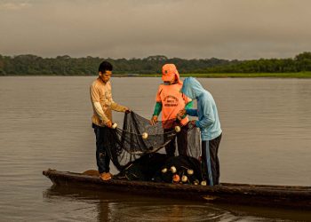 Capacitarán a pescadores artesanales sobre gestión y normatividad pesquera en Loreto