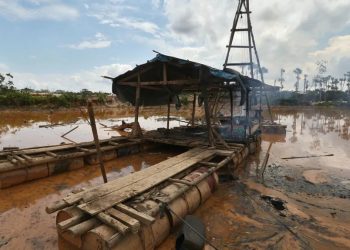 Congreso abre la puerta a una Amazonía más vulnerable y a mafias mineras más fuertes