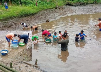 Pachacútec impulsa su economía con exitosa cosecha piscícola
