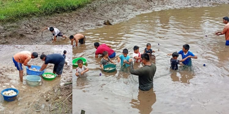 Pachacútec impulsa su economía con exitosa cosecha piscícola