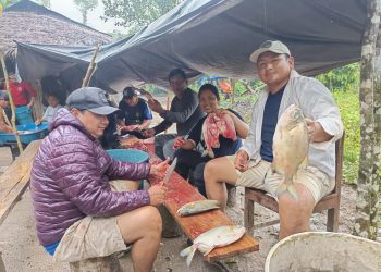 Piscicultores abastecen alimentación escolar en Datem del Marañón