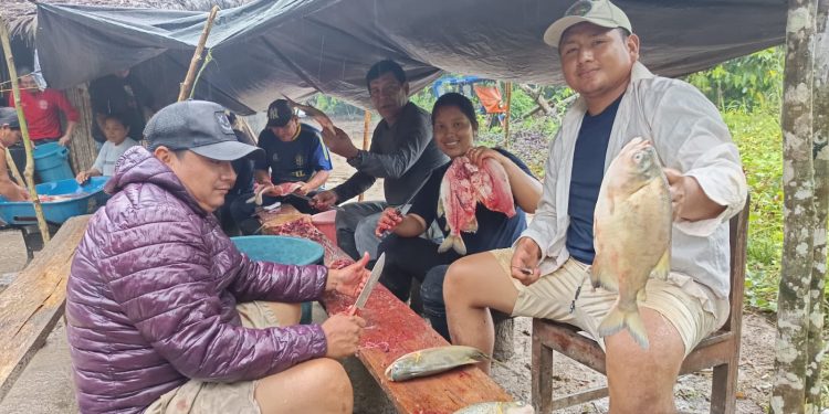 Piscicultores abastecen alimentación escolar en Datem del Marañón