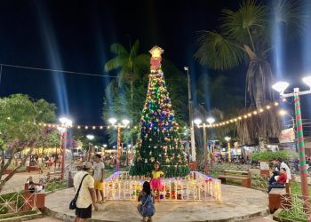 Comercio se dinamiza en Ramón Castilla durante las fiestas navideñas
