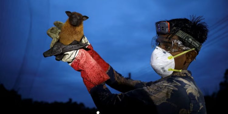 NIPAH: El nuevo virus asiático que no tiene cura ni vacuna