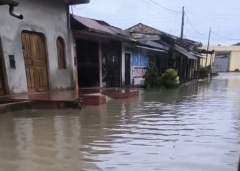Lluvia de fuerte intensidad inunda viviendas y genera presencia de serpientes en San Juan Bautista