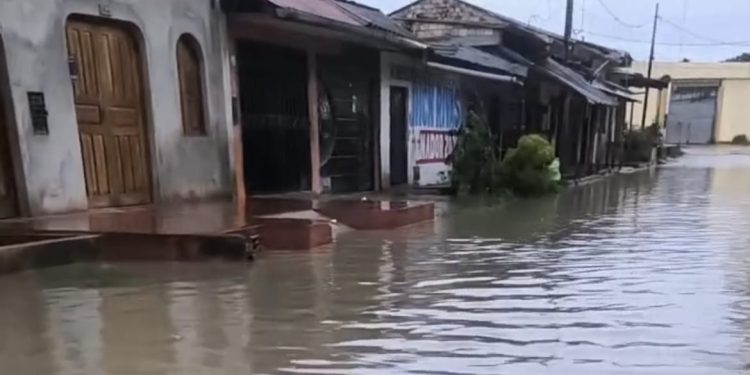 Lluvia de fuerte intensidad inunda viviendas y genera presencia de serpientes en San Juan Bautista