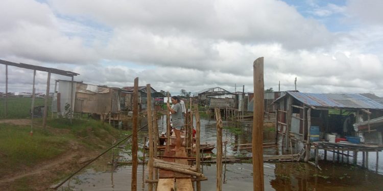 Dirigente Maruja Pinedo exige intervención urgente por inundaciones en zonas afectadas de Punchana