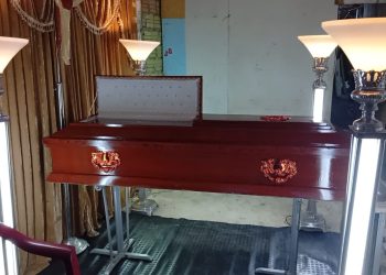 Adulto mayor pierde la vida tras accidente de tránsito