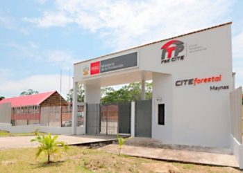 Feria del artesano y carpintero se realizará el 19 y 20 de marzo en Iquitos