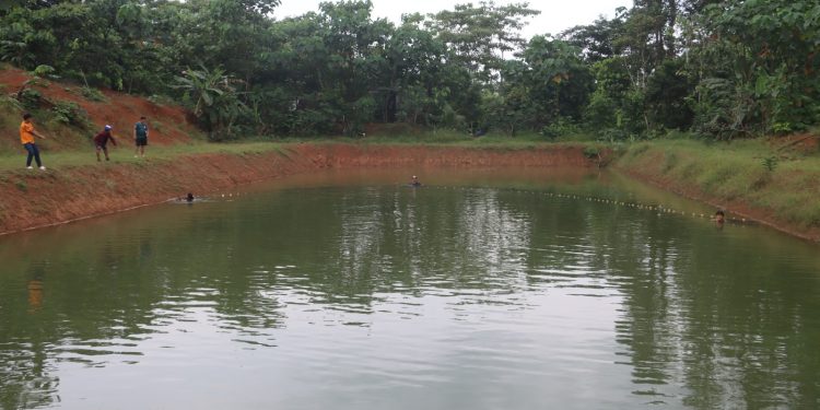 Impulsan acuicultura en Datem del Marañón para fortalecer seguridad alimentaria