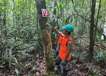 LORETO: 36 COMUNIDADES APROVECHAN SUS BOSQUES MIENTRAS AVANZAN EN LA COMPENSACIÓN DE MULTAS