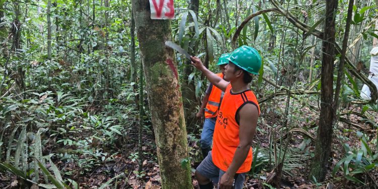 LORETO: 36 COMUNIDADES APROVECHAN SUS BOSQUES MIENTRAS AVANZAN EN LA COMPENSACIÓN DE MULTAS