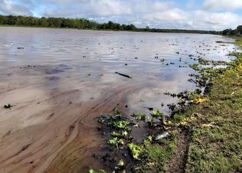 Derrame de petróleo en el Bajo Amazonas contamina aguas y deja sin abastecimiento a comunidades