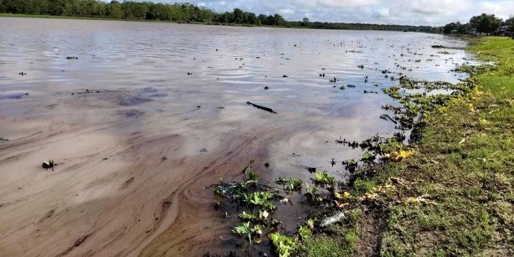 Derrame de petróleo en el Bajo Amazonas contamina aguas y deja sin abastecimiento a comunidades