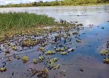 Derrame de petróleo en Yanashi deja a más de 2,500 pobladores sin agua potable y sin atención estatal
