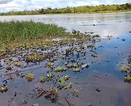 Derrame de petróleo en Yanashi deja a más de 2,500 pobladores sin agua potable y sin atención estatal