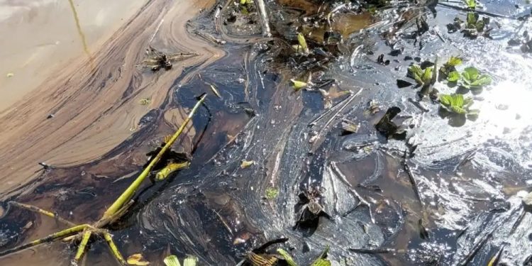 Pobladores de Yanashi llegan a Iquitos para exigir respuestas tras derrame de petróleo en el Bajo Amazonas