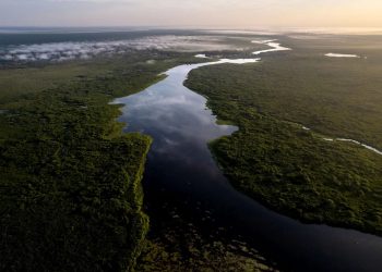 Creciente del río Tapiche inunda zona comercial de Requena y genera alarma en la población