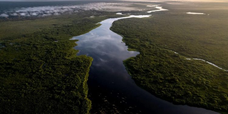 Creciente del río Tapiche inunda zona comercial de Requena y genera alarma en la población