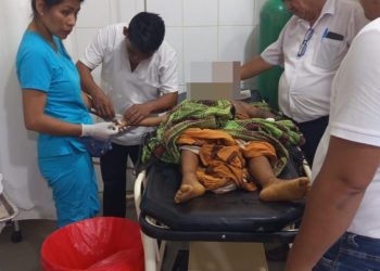Menor de ocho años fallece tras mordedura de serpiente en Datem del Marañón