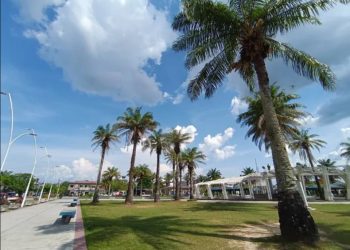 Siembran árboles en plaza Sargento Lores por el Día de la Madre Tierra
