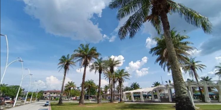 Siembran árboles en plaza Sargento Lores por el Día de la Madre Tierra