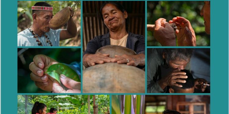 Presentarán libro sobre cosmovisión indígena y cuidado del territorio en Loreto