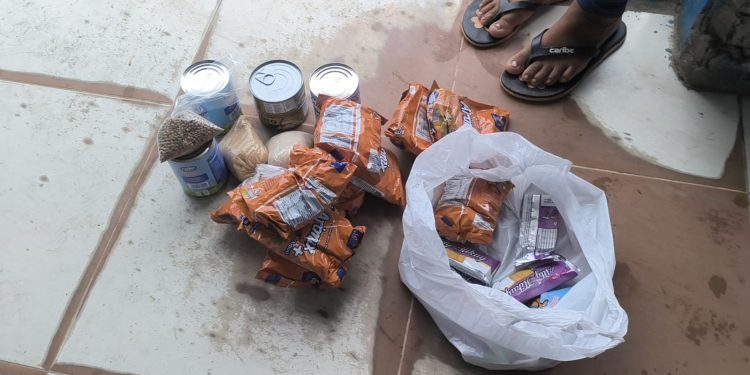 Falta de cocina en colegio San Lucas obliga a fraccionar alimentos y genera malestar en padres