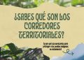 ¿Sabes qué son los corredores territoriales y por qué son urgentes?