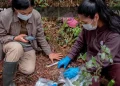 Día Mundial del Medioambiente: Perú concentra los corredores climáticos más importantes de la Amazonía occidental