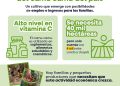 ¡Loreto concentra el 88% de la producción nacional de camu camu!