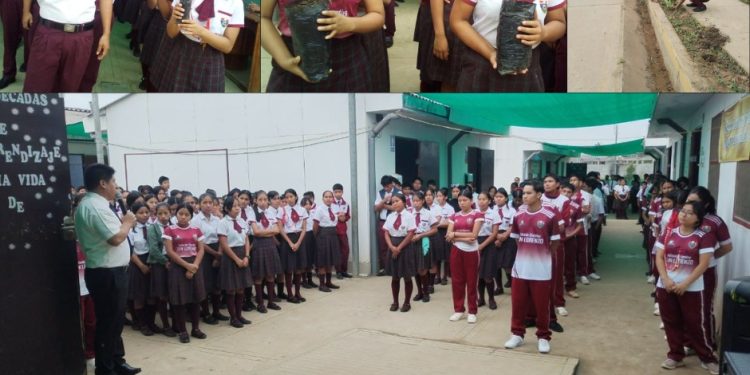 Datem del Marañón promueve la educación ambiental con la entrega de 100 plantones a escolares