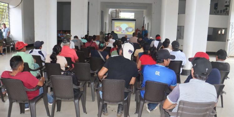 Datem del Marañón capacita piscicultores para asegurar alimentación