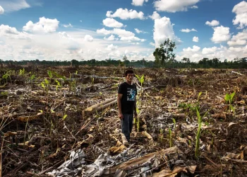 Tras casi 12 años de espera: Inicia juicio oral por usurpación agravada contra cacaotera Tamshi S.A.C.