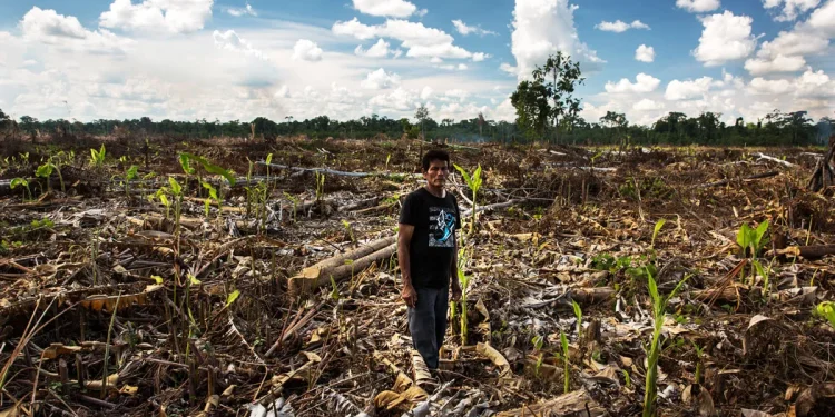 Tras casi 12 años de espera: Inicia juicio oral por usurpación agravada contra cacaotera Tamshi S.A.C.