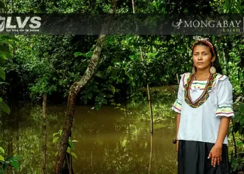 Avita Taricuarima: la bióloga kukama de la Amazonía peruana que devuelve el conocimiento científico a su comunidad