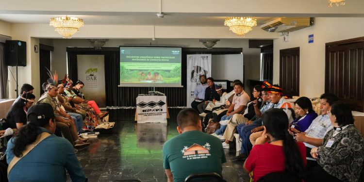 Amazonía unida fortalece protocolos autónomos de consulta previa