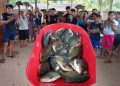 Wawajín celebra exitosa cosecha de peces gamitana