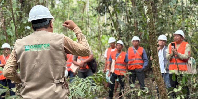 Loreto: Empresarios se suman a asistencias técnicas para el aprovechamiento sostenible del bosque