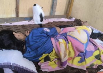 Mujer postrada solicita apoyo médico y asistencia para retornar a su localidad natal