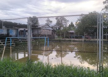 Se registra insalubridad e inseguridad por abandono de losa deportiva