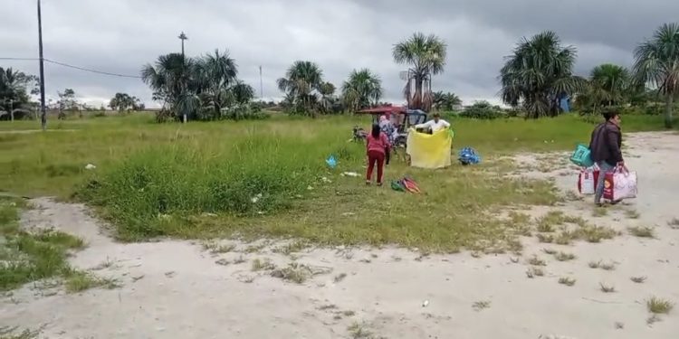 Comerciantes exigen limpieza por vegetación acumulada en la Villa Olímpica