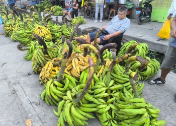 Descenso de los ríos provoca desabastecimiento y alza en el precio del plátano en los mercados de Iquitos