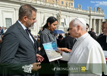 Científicos piden al papa León XIV interceder ante la crisis por mercurio en la Amazonía